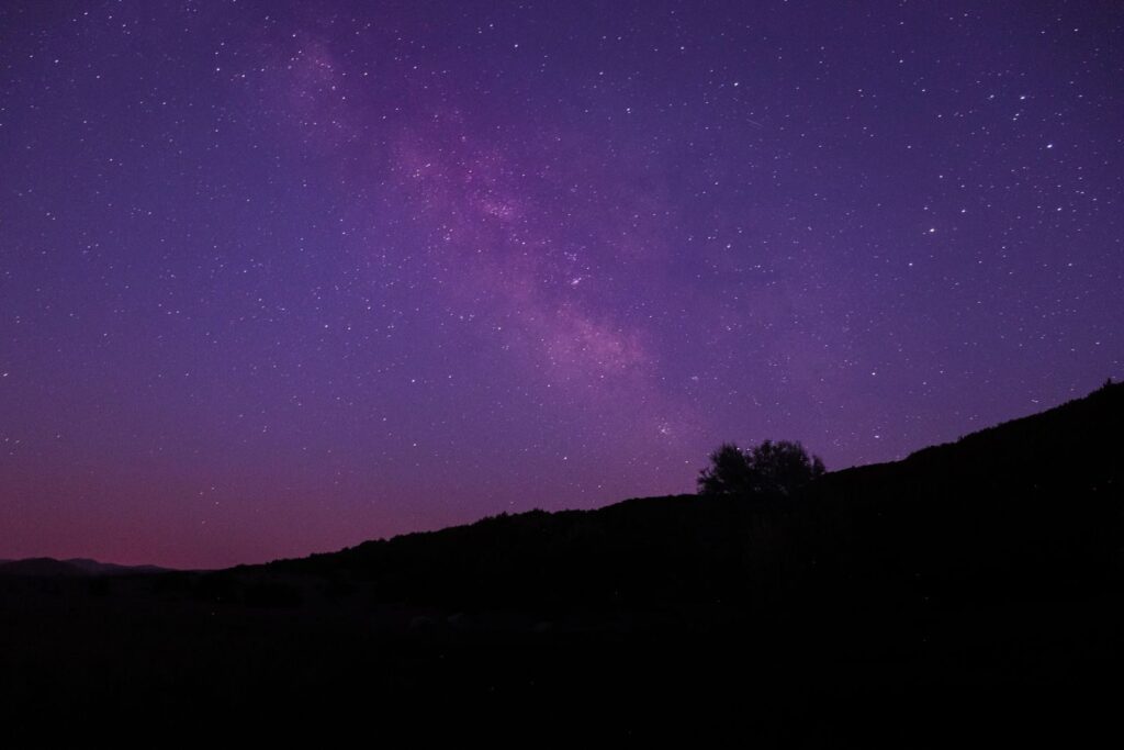 Vía Láctea sobre silueta de árboles en tonos violeta