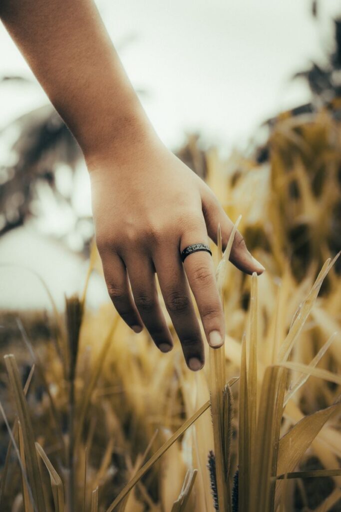 Mano rozando espigas doradas en un campo, reflejando la conexión sensorial del Sol en Tauro con la naturaleza