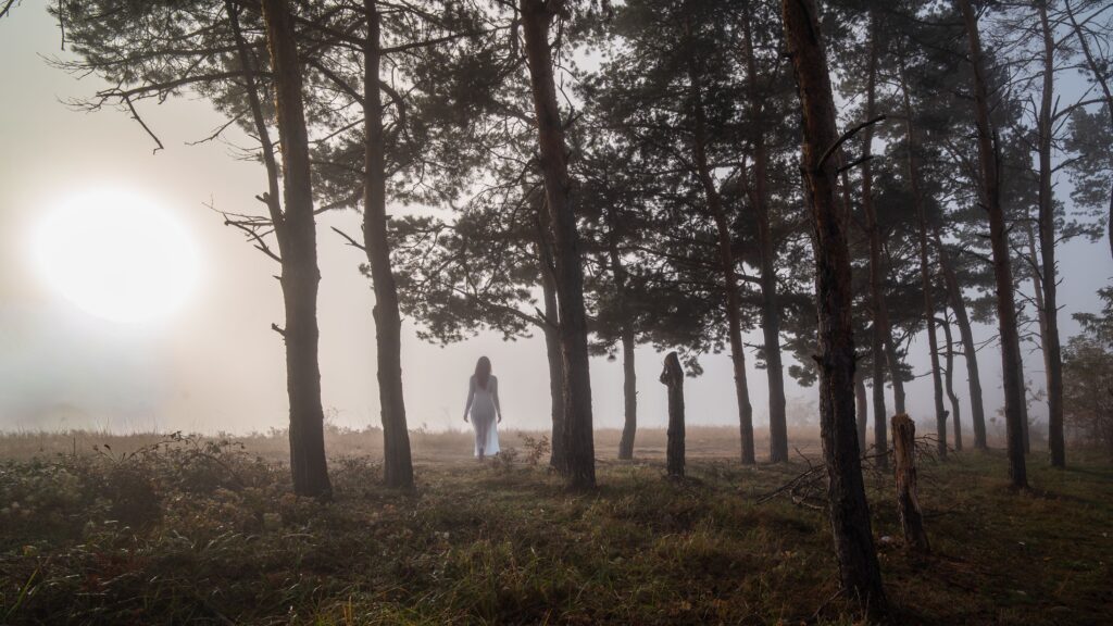 Persona caminando entre la niebla de un bosque, representando lo que queda oculto detrás de la fachada calmada del Ascendente en Tauro