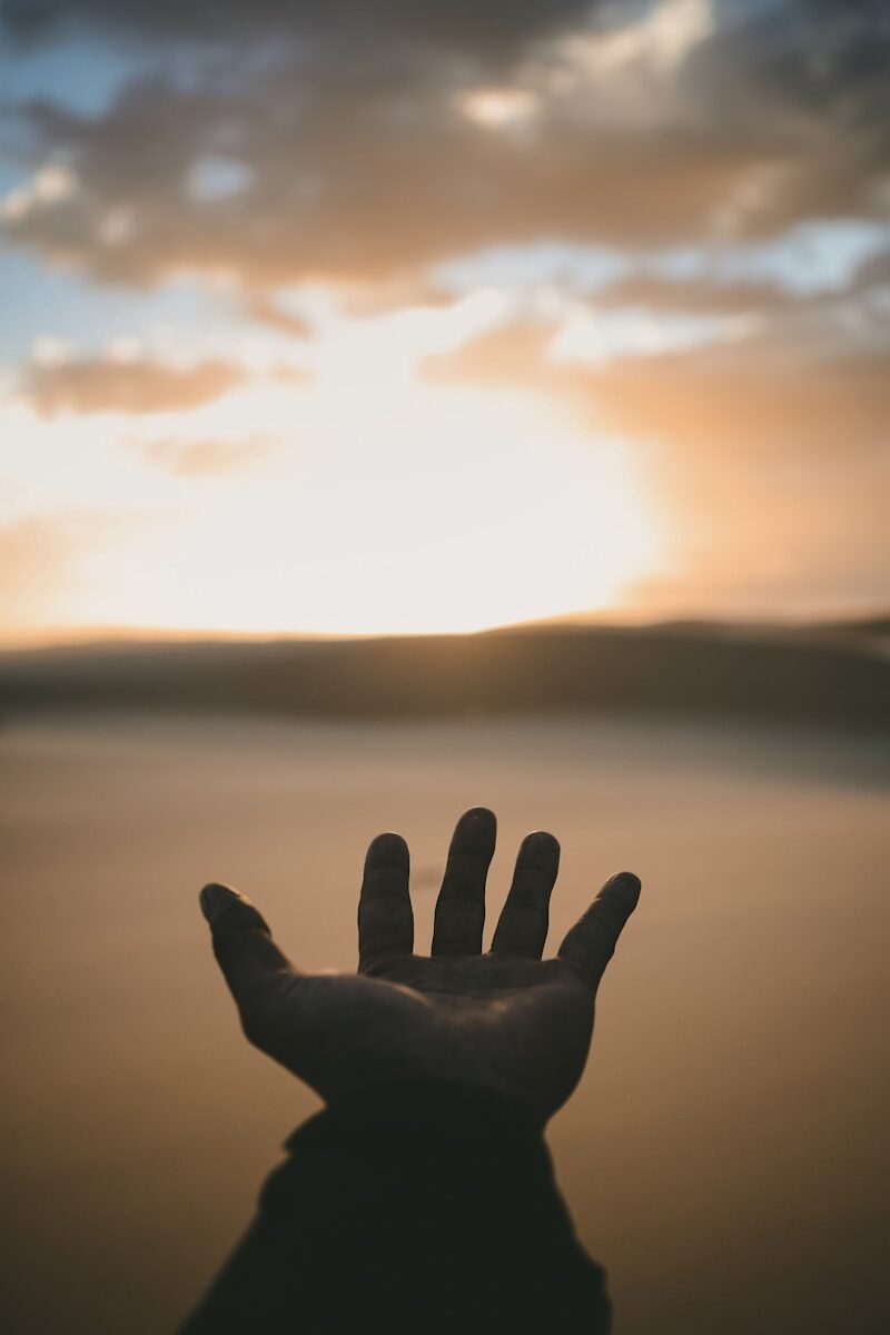 Mano alzada hacia la luz del sol, simbolizando el primer paso para mostrar algo propio a pesar del miedo