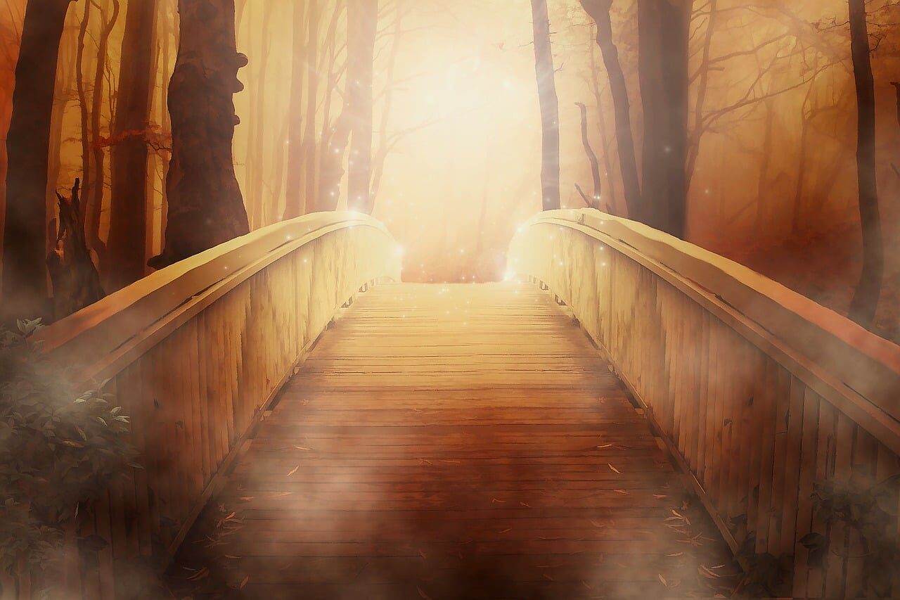 Puente de madera atravesando un sendero envuelto en niebla y luz, en un bosque místico.