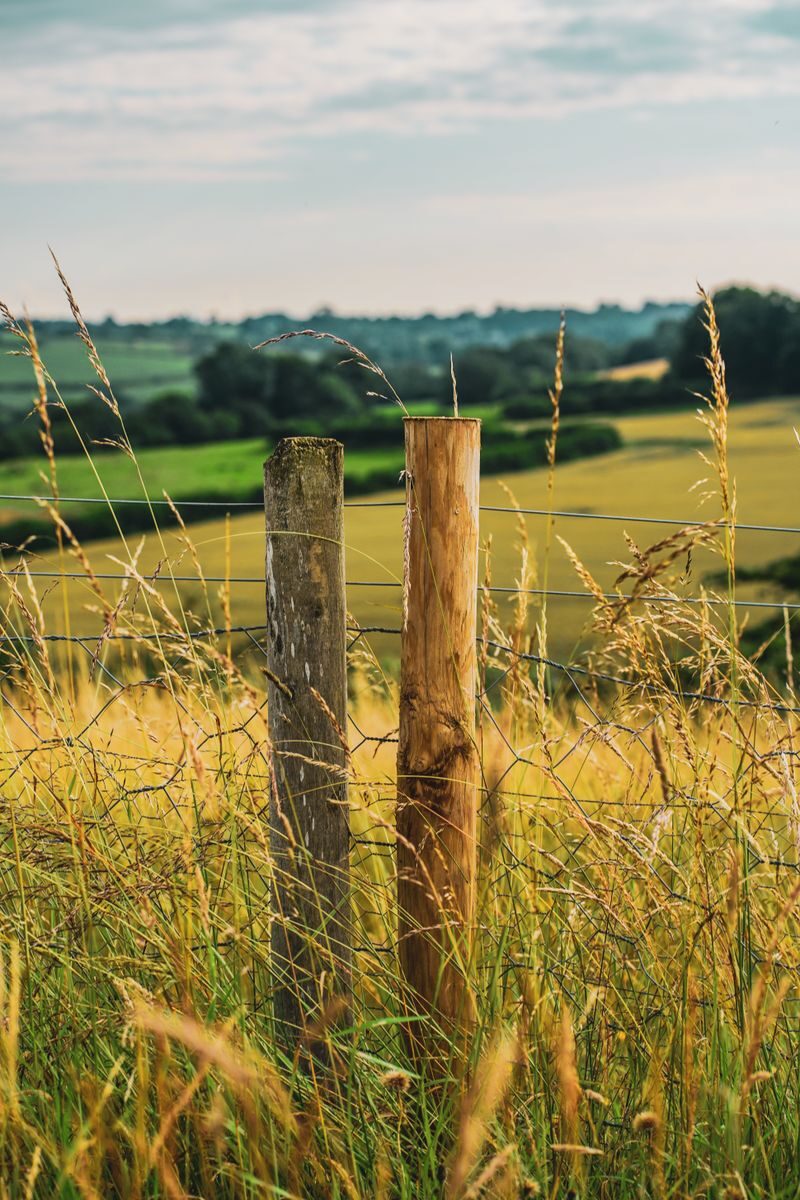 Valla de madera en un campo verde al atardecer, transmitiendo la calma y la firmeza del Sol en Tauro