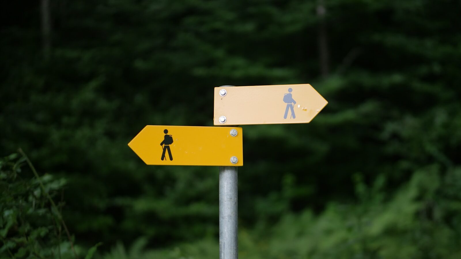 Persona en una encrucijada de caminos mirando un cartel de señales, simbolizando la búsqueda de dirección vocacional