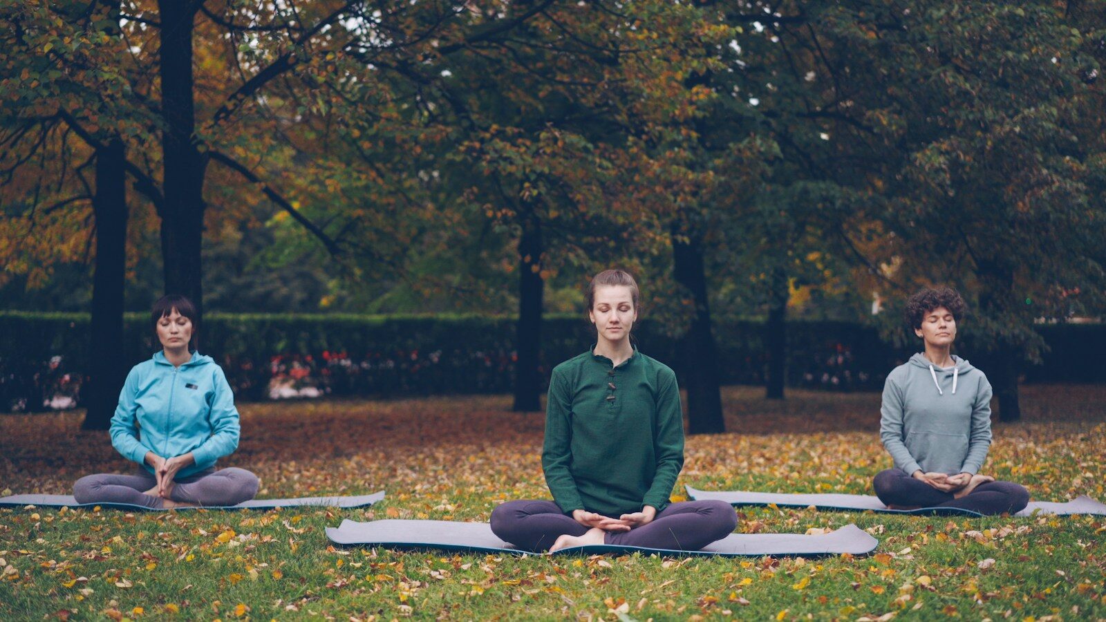 personas meditando al aire libre en un momento de calma y búsqueda de equilibrio interior